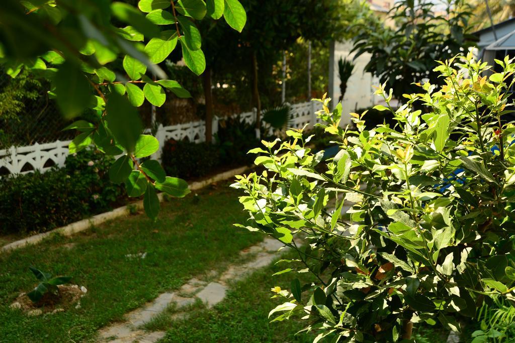 Pinar Hotel Alanya Exterior photo